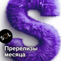 IMG_20240305_143233_711.jpg